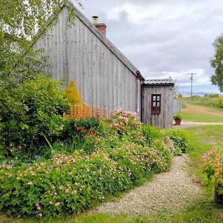 Small Cosy Bothy ดิงวอลล์ ภายนอก รูปภาพ